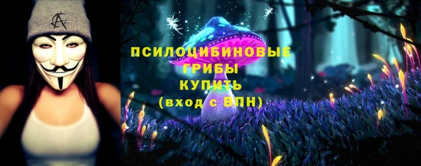 ECSTASY Крымск