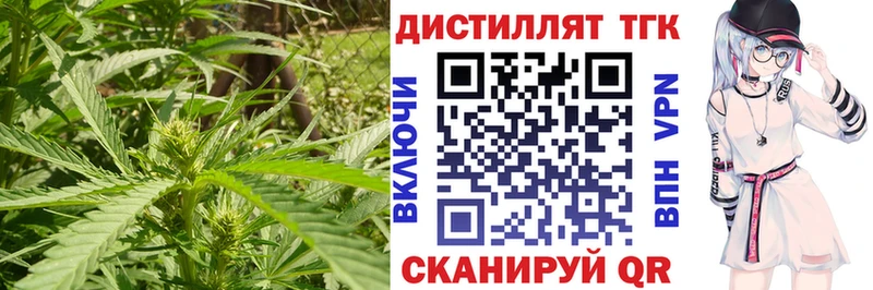 Дистиллят ТГК жижа  МЕГА рабочий сайт  Александровское 