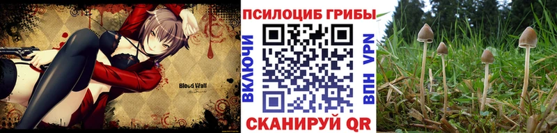Псилоцибиновые грибы GOLDEN TEACHER  гидра зеркало  Александровское 